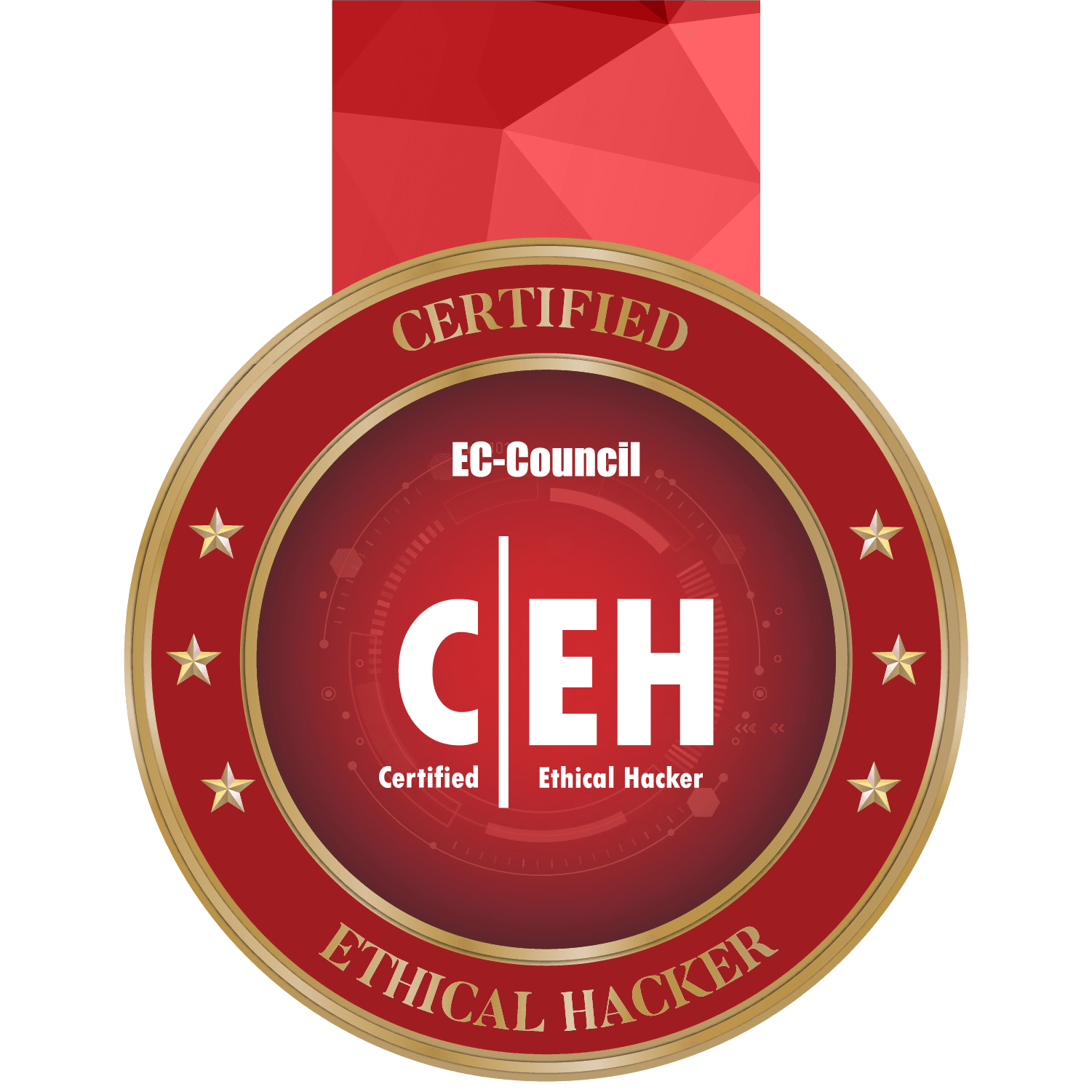 Certified Ethical Hacker (CEH)